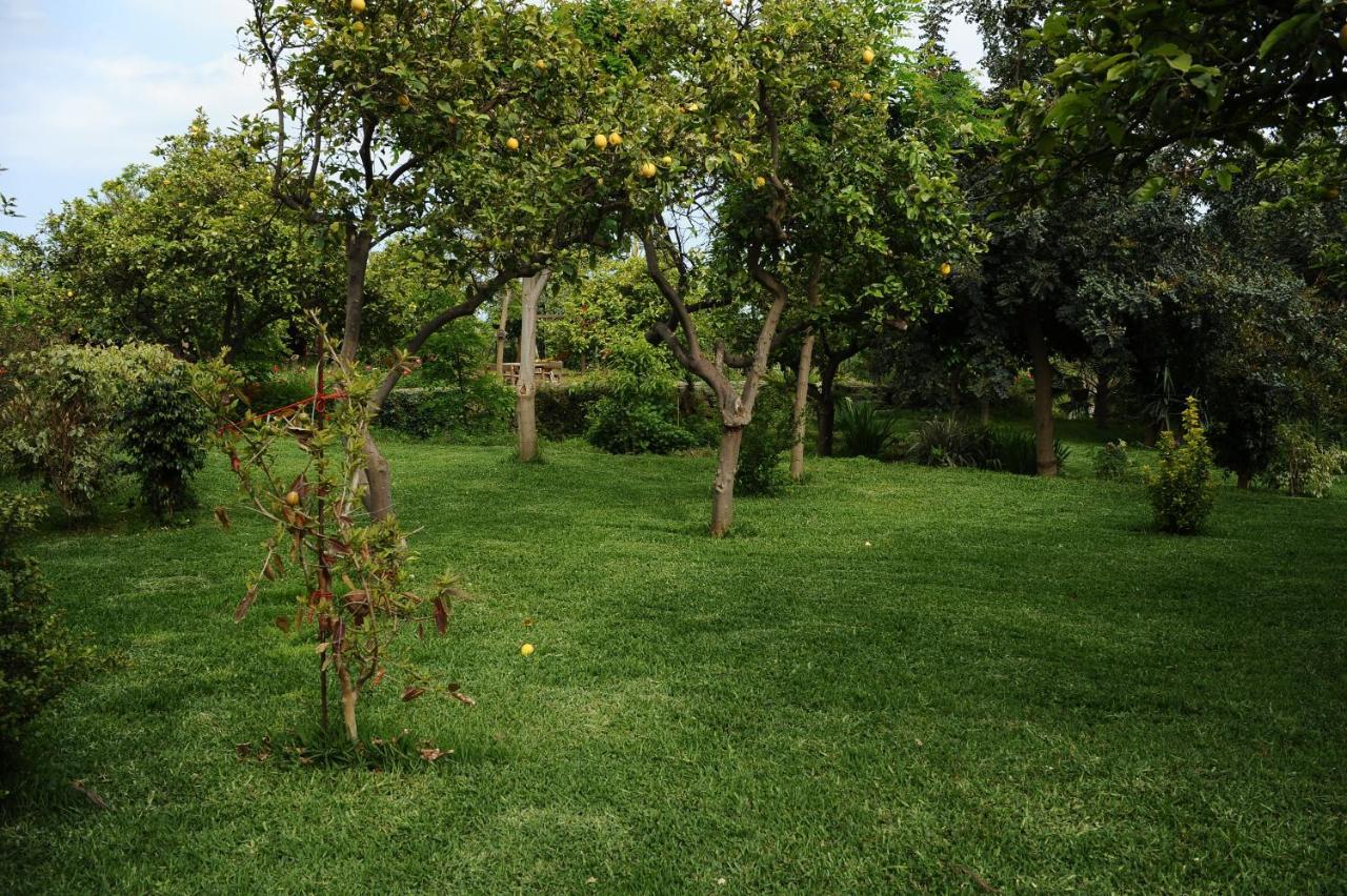 Country house Tenuta Santatecla *