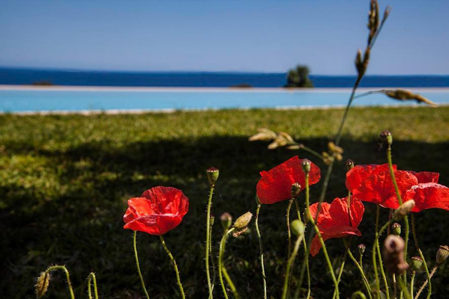 Tenuta Santatecla Country house Acireale